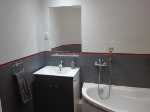 a bathroom with a sink and a shower and a tub at Centrum Apartman Kukucinova6 in Košice