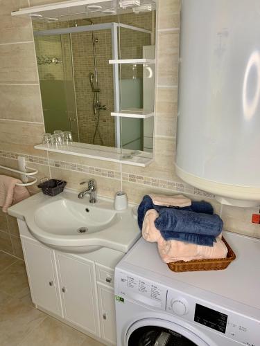 une salle de bain avec un lavabo et une machine à laver dans l'établissement Appartement l’étoile, à Moustiers-Sainte-Marie