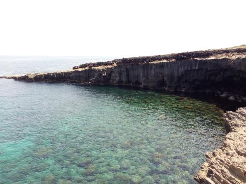 Φυσικό τοπίο κοντά σε αυτό το διαμέρισμα