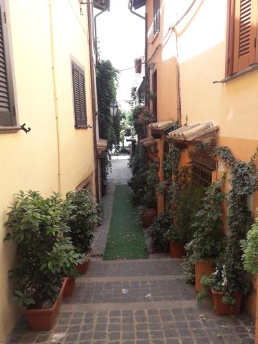 Φωτογραφία από το άλμπουμ του La Casa di Livia σε Trevignano Romano