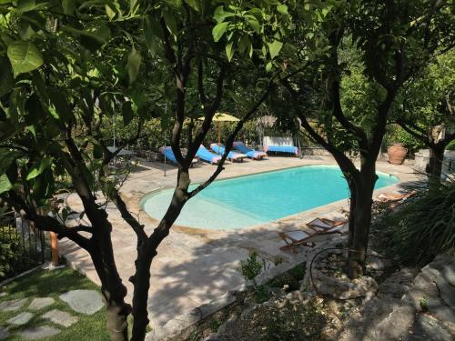 einen Pool in einem Garten mit Bäumen in der Unterkunft La Romarine in Falicon