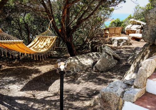 a hammock and a street light in a yard at Villa Elena B&B experience in Santa Teresa Gallura
