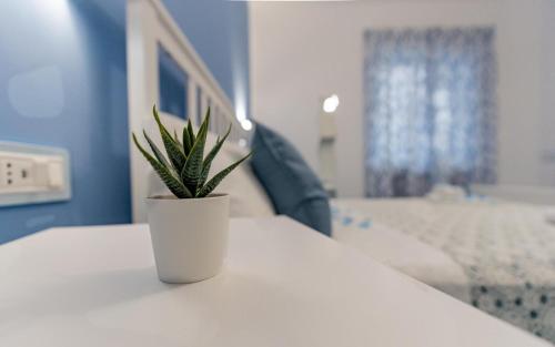 a potted plant sitting on top of a white table at Casa Azulejos in Maiori