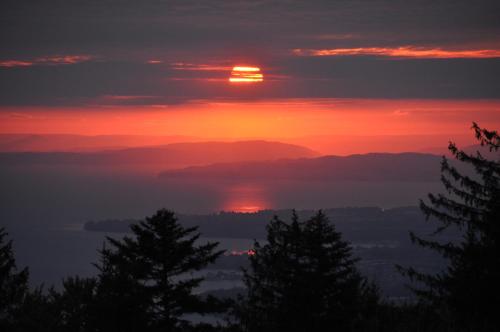 a sunset over a lake with trees in the foreground at Ferienwohnung Reichart in Lochau