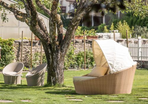 twee stoelen en een boom in een tuin bij Hotel Goldenes Roessl-adults only in Bressanone