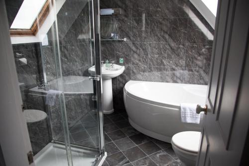 a bathroom with a shower and a toilet and a sink at Dunchraigaig House in Kilmartin