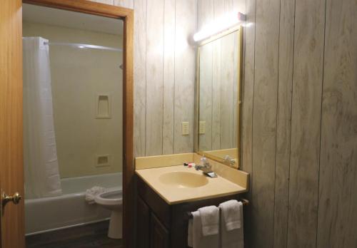 uma casa de banho com um lavatório, um espelho e um WC. em Bishop Inn Downtown Gatlinburg em Gatlinburg