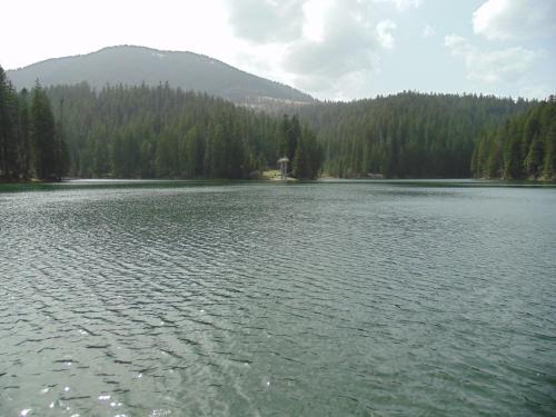 a large lake with trees in the background at Beregynia in Zhdenievo