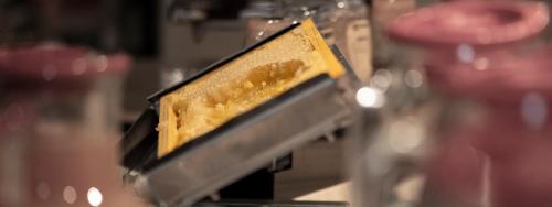 Billede fra billedgalleriet på Hotel Regina i Cortina dʼAmpezzo