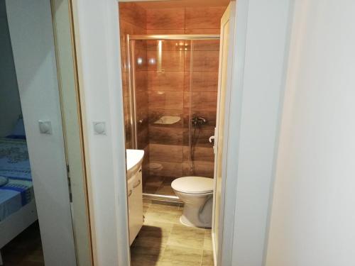 A bathroom at Lile Pestani Accommodation