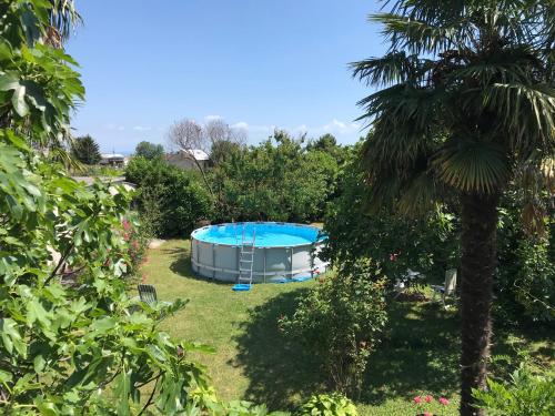 a swimming pool in a yard with a palm tree at Apartman Blazek Kastav in Kastav