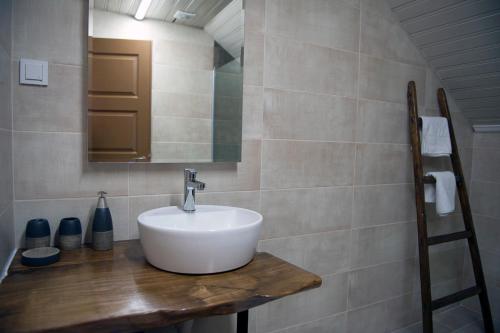 a bathroom with a sink and a mirror at Villa Pavlina in Ohrid