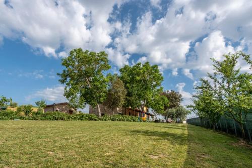 a field of grass with trees and a cloudy sky at Todi Truffle in Todi