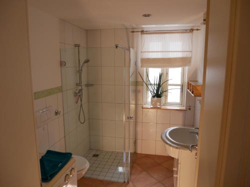 a bathroom with a shower and a toilet and a sink at Sonnendeck in Wustrow