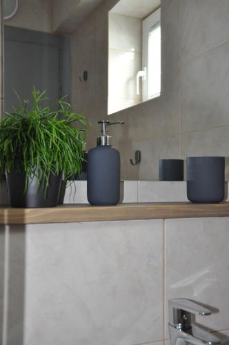 a bathroom with two plants on a counter at Vas Lipa 7 -30 in Podčetrtek