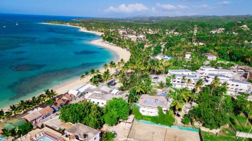 an aerial view of a beach with houses and the ocean at Puerto Plaza Las Terrenas in Las Terrenas