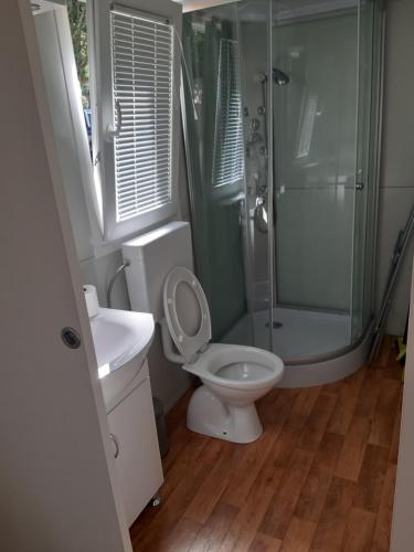 a bathroom with a toilet and a shower and a sink at Grand Veles camp in Pula