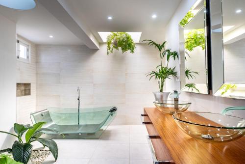 Drago by AGM Resorts