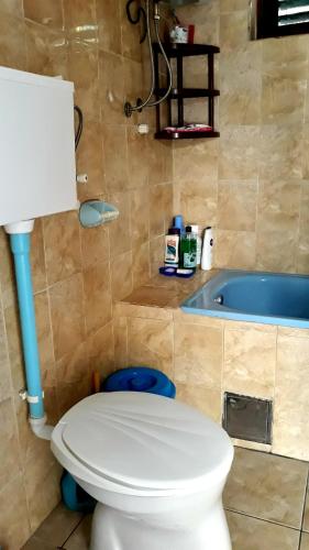 a bathroom with a toilet and a bath tub at Apartman Tatjana in Sutomore