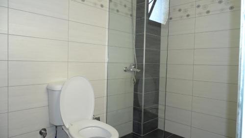 uma casa de banho com um WC e um chuveiro em VILLA VELA KSAMIL em Ksamil