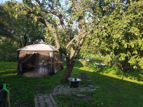 uma tenda num quintal com uma mesa e uma árvore em u Franciszka w sadzie em Ciechocinek