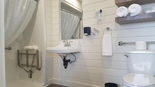 un baño con lavabo e inodoro en A Wave From it All, en Port Saunders