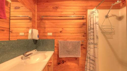 La salle de bains est pourvue d'un lavabo et d'une douche. dans l'établissement Anglers Reach Lakeside Village, à Anglers Reach