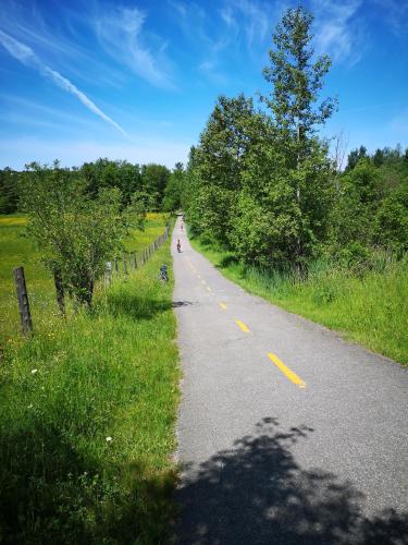 a road with a person riding a bike on it at Condo de L'Oberge in Magog-Orford