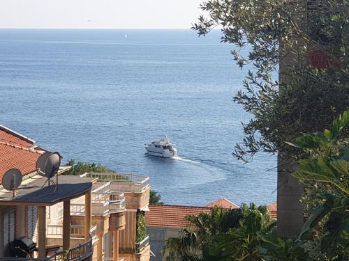 a boat is in the water in the ocean at Zoro Apartments in Sveti Stefan