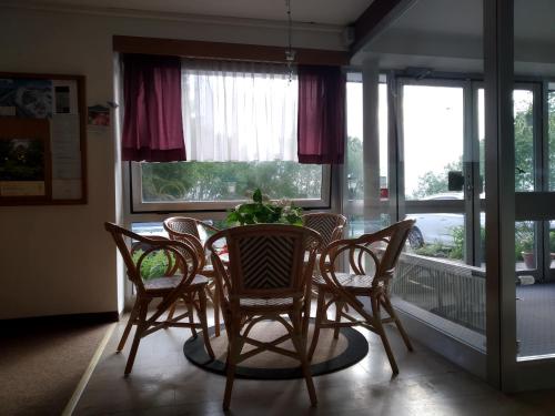 a dining room with a table and chairs and windows at Apartmany JaJ-Bavorsko in Mitterfirmiansreut