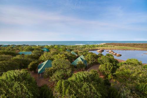 A bird's-eye view of Cinnamon Wild Yala