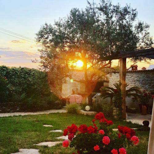 Fotografie z fotogalerie ubytování Apartments Casa Garibaldi v destinaci Brtonigla