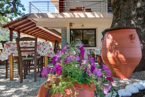 a large vase with flowers in front of a house at Antartisa B&B in Límni