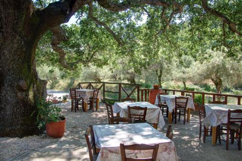 a group of tables and chairs under a tree at Antartisa B&B in Límni