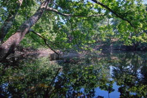 a view of a body of water with trees at Antartisa B&B in Límni