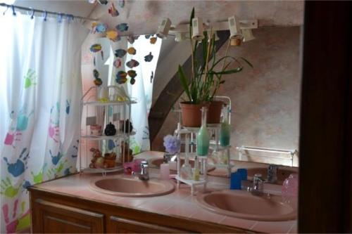 une salle de bains avec deux lavabos et une plante en pot dans l'établissement halte aux places, à Marcillac-Saint-Quentin