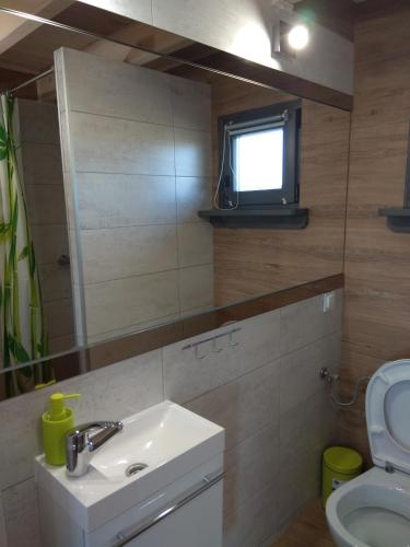 a bathroom with a sink and a toilet and a mirror at Domki Nad Stawem Mazury D5 in Mrągowo