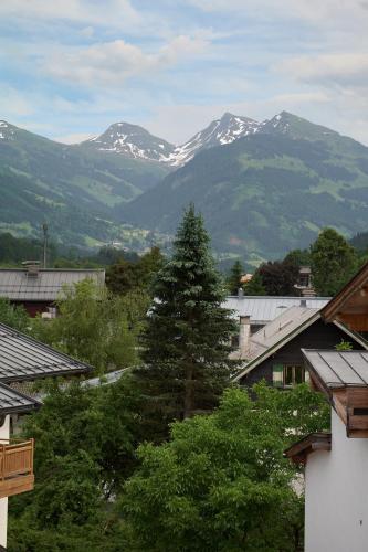 a pine tree in a town with mountains in the background at KitzHome City Apartments in Kitzbühel