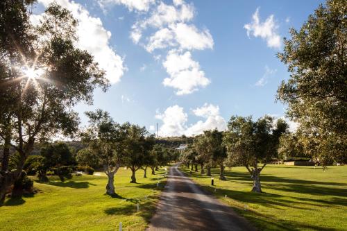a road through a field with trees on either side at Vila Valverde Design Country Hotel in Luz