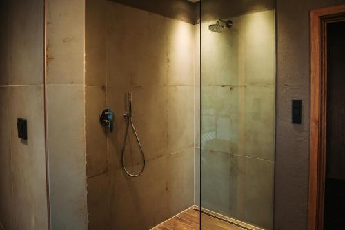 a shower stall with a glass door in a bathroom at Lajvér Borbirtok in Szálka