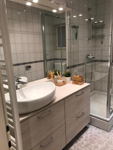 La salle de bains est pourvue d'un lavabo et d'une douche. dans l'établissement Apartment Francos, à Primošten