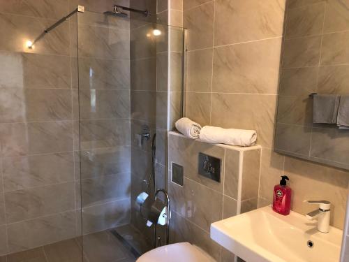 a bathroom with a shower and a toilet and a sink at Apartments Lj in Ulcinj