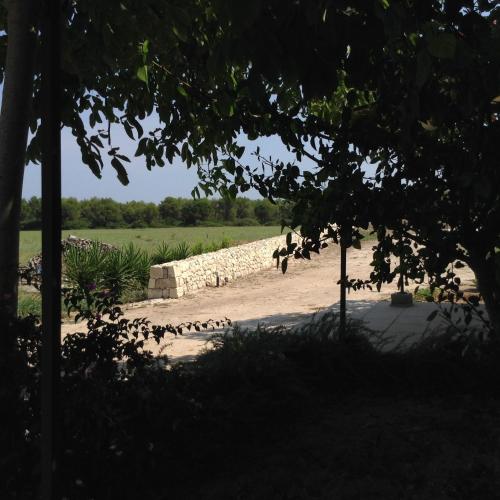 a group of birds walking along a stone wall at Masseria Specchiulla in Otranto