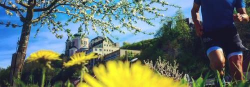 a man standing in a field of flowers with a castle at Hotel & Restaurant Christkindlwirt in Steyr