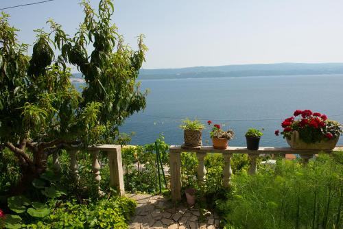 a table with potted plants on it next to the water at Apartments Drago Kovačić in Omiš