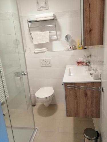 a bathroom with a toilet and a sink and a shower at Campingblick-Gästehaus-Ferienwohnungen in Podersdorf am See