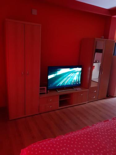 Apartment Savanovic TV 또는 엔터테인먼트 센터