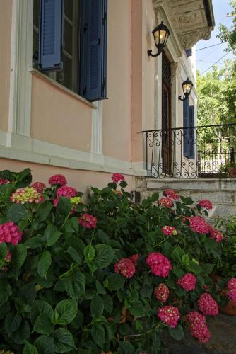 a bush of pink flowers in front of a building at Archontiko Naoumidi in Portariá