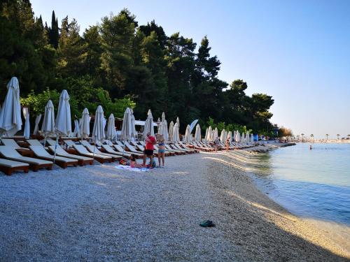 
surfboards are lined up on the beach at Meje Apartments in Split
