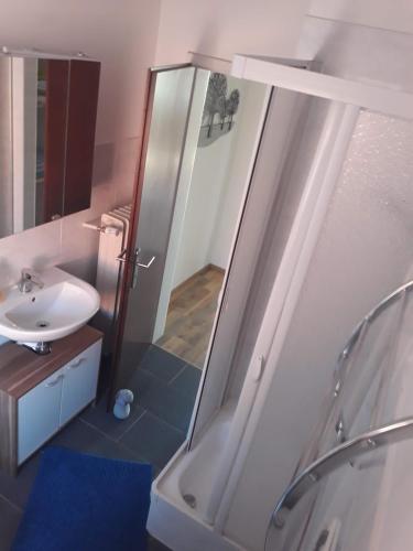 a bathroom with a shower and a sink and a mirror at FeWo Darsberg in Neckarsteinach